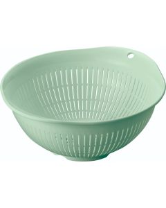 ASVEL STRAINER 4315-GREEN