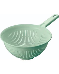 ASVEL  LONG HANDLE STRAINER 4321-GREEN