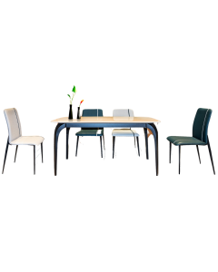 YERED 1 + 4 DINING SET  DT2006 (1+4)